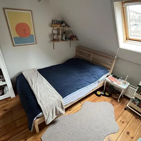 Surf/beach Mansion With 2 Cats Den Haag