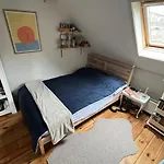 Surf/Beach Mansion With 2 Cats